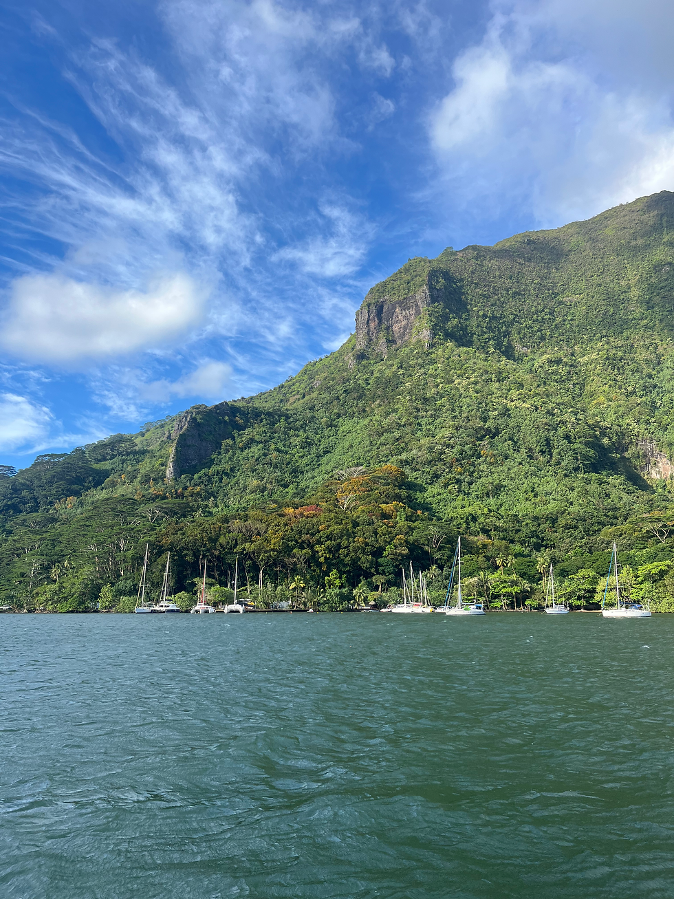 Oponohu bay, Moorea