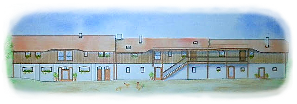 Staje(2).png