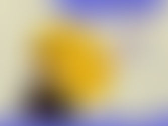 LỊCH SỬ KINH THÁNH – KẾT THÚC ĐẠI HỒNG THỦY VÀ Ý NGHĨA CỦA THÁNG CHESHVAN VỚI NGƯỜI DO THÁI.