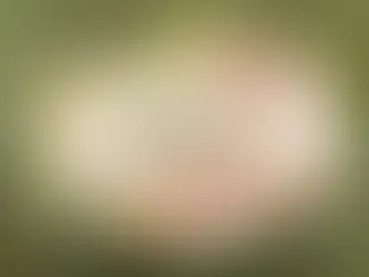 BƯỚC VÀO NĂM MỚI VỚI VIỆC SUY GẪM VÀ LÀM THEO ĐIỀU RĂN CỦA CHÚA.