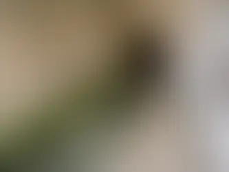 LẦN ĐẦU TIÊN SAU 2000 NĂM, ĐỊA ĐIỂM NƠI CHÚA GIÊSU CHỮA LÀNH NGƯỜI MÙ ĐƯỢC MỞ CHO CÔNG CHÚNG XEM.