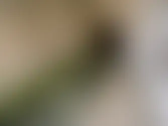 LẦN ĐẦU TIÊN SAU 2000 NĂM, ĐỊA ĐIỂM NƠI CHÚA GIÊSU CHỮA LÀNH NGƯỜI MÙ ĐƯỢC MỞ CHO CÔNG CHÚNG XEM.