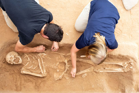 NGHIÊN CỨU DNA CHO THẤY KINH THÁNH ĐÃ ĐÚNG VỀ NGUỒN GỐC PHI-LI-TIN – “NHỮNG NGƯỜI PHI-LI-TIN ĐẾN TỪ CÙ LAO CÁP-TÔ”