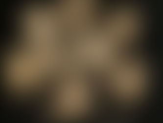 ĐƠN VỊ ĐO LƯỜNG CỔ XƯA GHI CHÉP TRONG KINH THÁNH ĐƯỢC TIẾT LỘ TRONG BẢN QUÉT ĐỒ GỐM