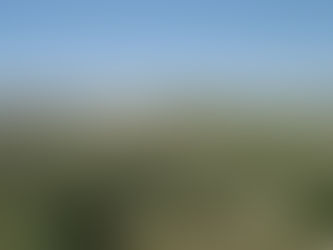 XÁC NHẬN KHẢO CỔ HỌC CHỨNG THỰC KINH THÁNH VỀ TIÊN TRI Ê-LI-SÊ (ELISHA) HỌC TRÒ CỦA Ê-LI (ELIJAH)– NHÀ TIÊN TRI VĨ ĐẠI TRONG THỜI KỲ CỰU ƯỚC.