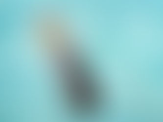 NGÀY NAY TRONG LỊCH SỬ KINH THÁNH – NƯỚC RÚT– ISRAEL DỪNG TẠI NÚI SINAI – Ê-XÊ-CHI-ÊN TIÊN TRI.