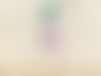 NGÀY NAY TRONG LỊCH SỬ DO THÁI – CHA MẸ MÔI-SE TÁI HÔN – CÁC THÁM TỬ BỊ CHẾT.