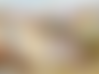 NGÀY NAY TRONG LỊCH SỬ DO THÁI – MA-NA BẮT ĐẦU RƠI – NGƯỜI LA MÃ PHÁ ĐỔ BỨC TƯỜNG JERUSALEM