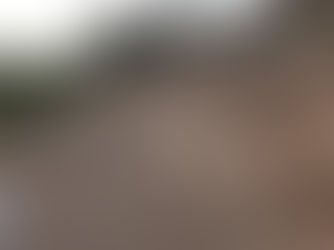 MỘT THÀNH PHỐ PHI-LI-TIN 3000 NĂM TUỔI - QUÊ HƯƠNG ĐÍCH THỰC CỦA GÔ-LI-ÁT ?