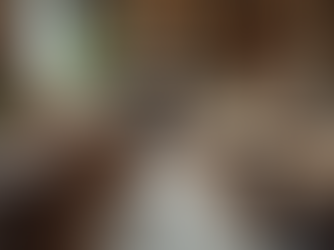 Efficient Estate Liquidation Steps for Success