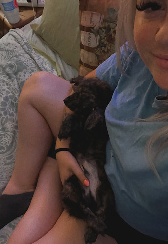 Baby bowie.JPG