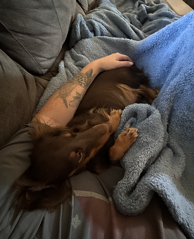 tootsie preggo.HEIC