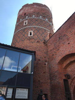 IMG_6870.jpg