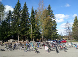 60342563_594847447664419_422152810117726