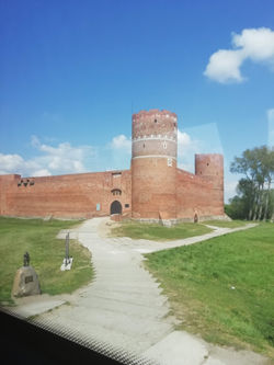 IMG_20190511_142926.jpg