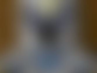 [ストリーマー入隊報告]