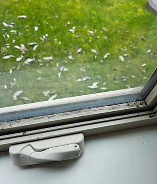 Window tracks, before