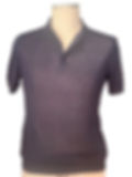 Polo Uomo Mezza Manica Blu vista frontale