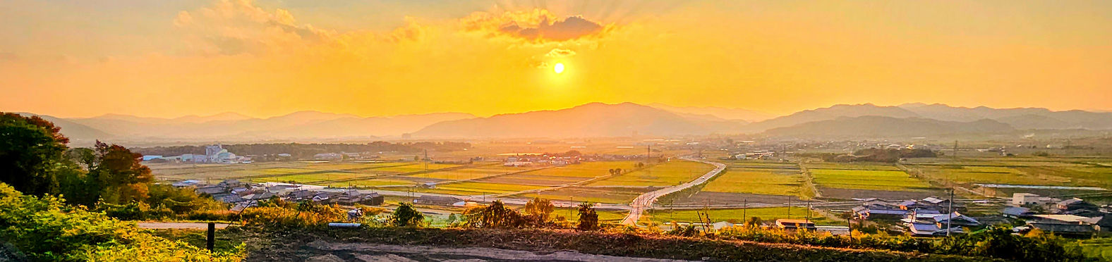 20231105_161929-EDIT (1)_edited.jpg