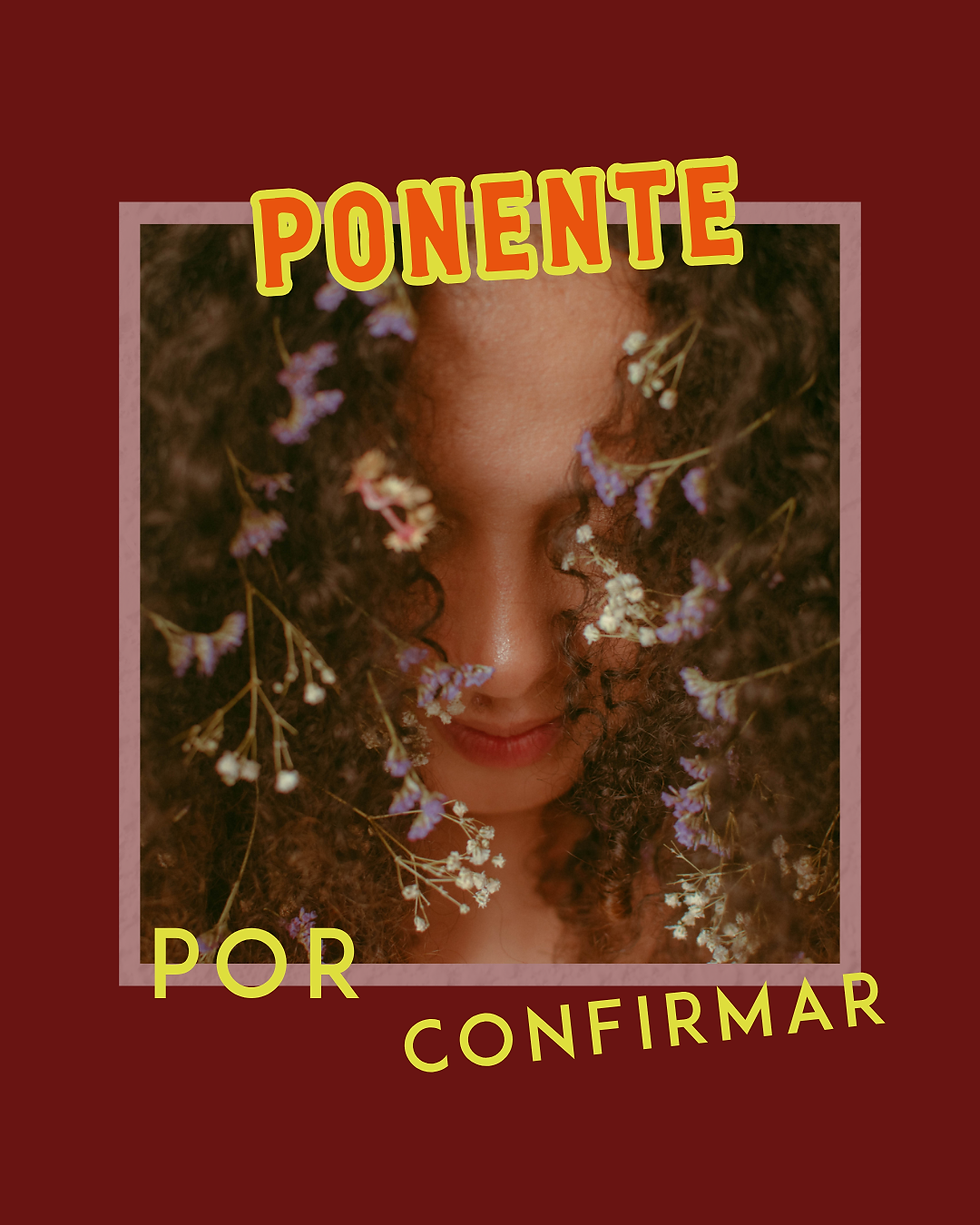 Ponente 2.png