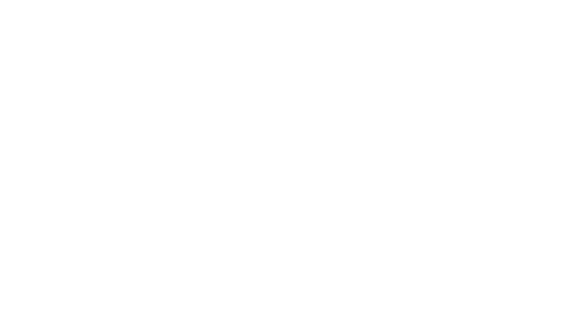 Logo hola dian blanco.png