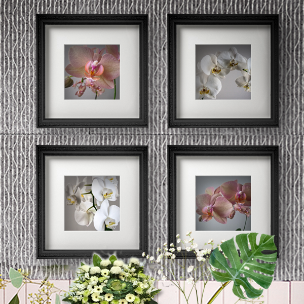 Miniatura: From the garden: Poker di orchidee 1, 2, 3, 4 | Gianni Maffi
