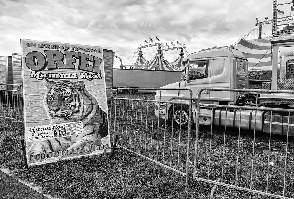 Circo Orfei 2, Assago (MI)  | Gianni Maffi