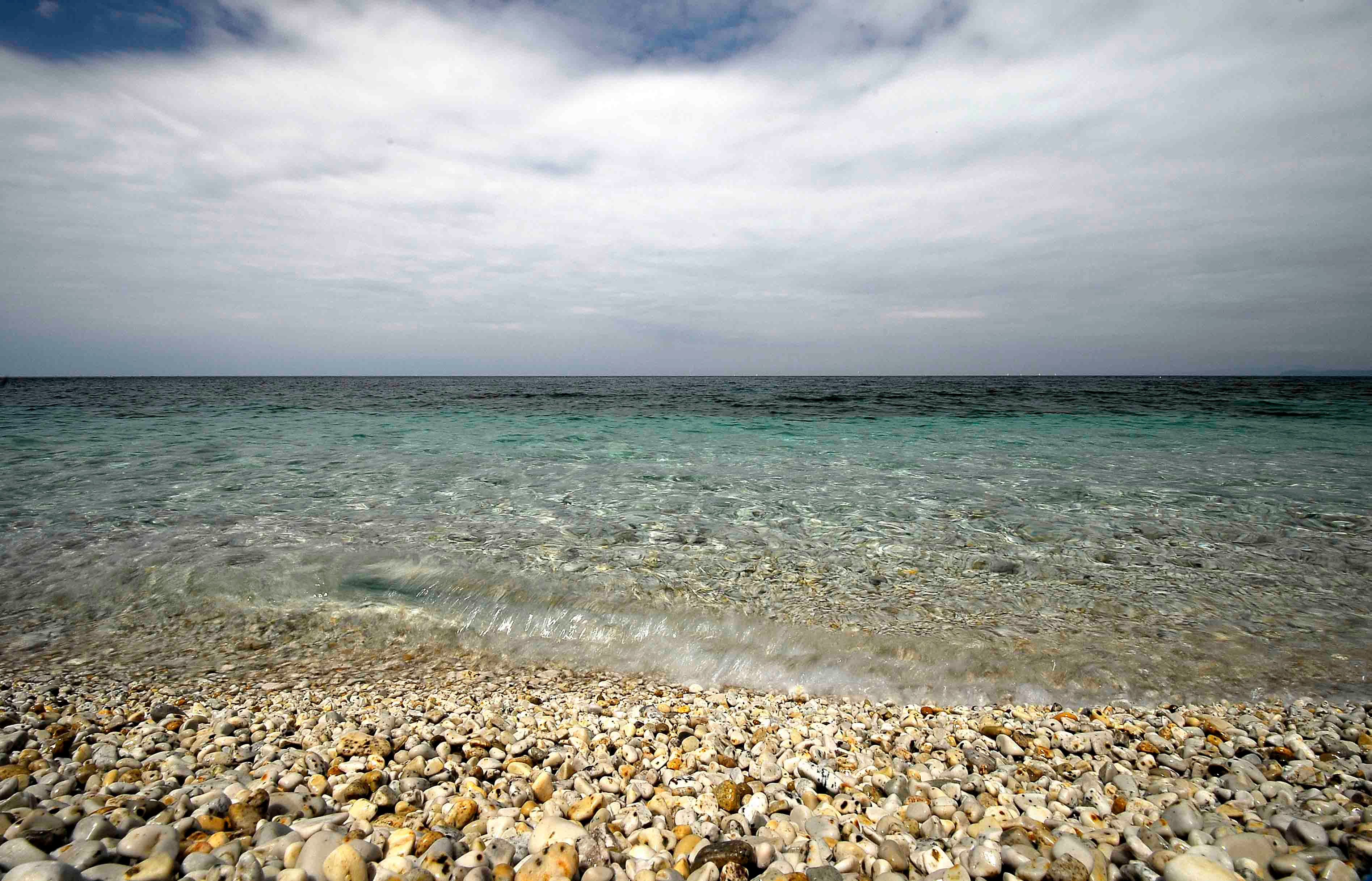 Trasparenze | Luca Cortese