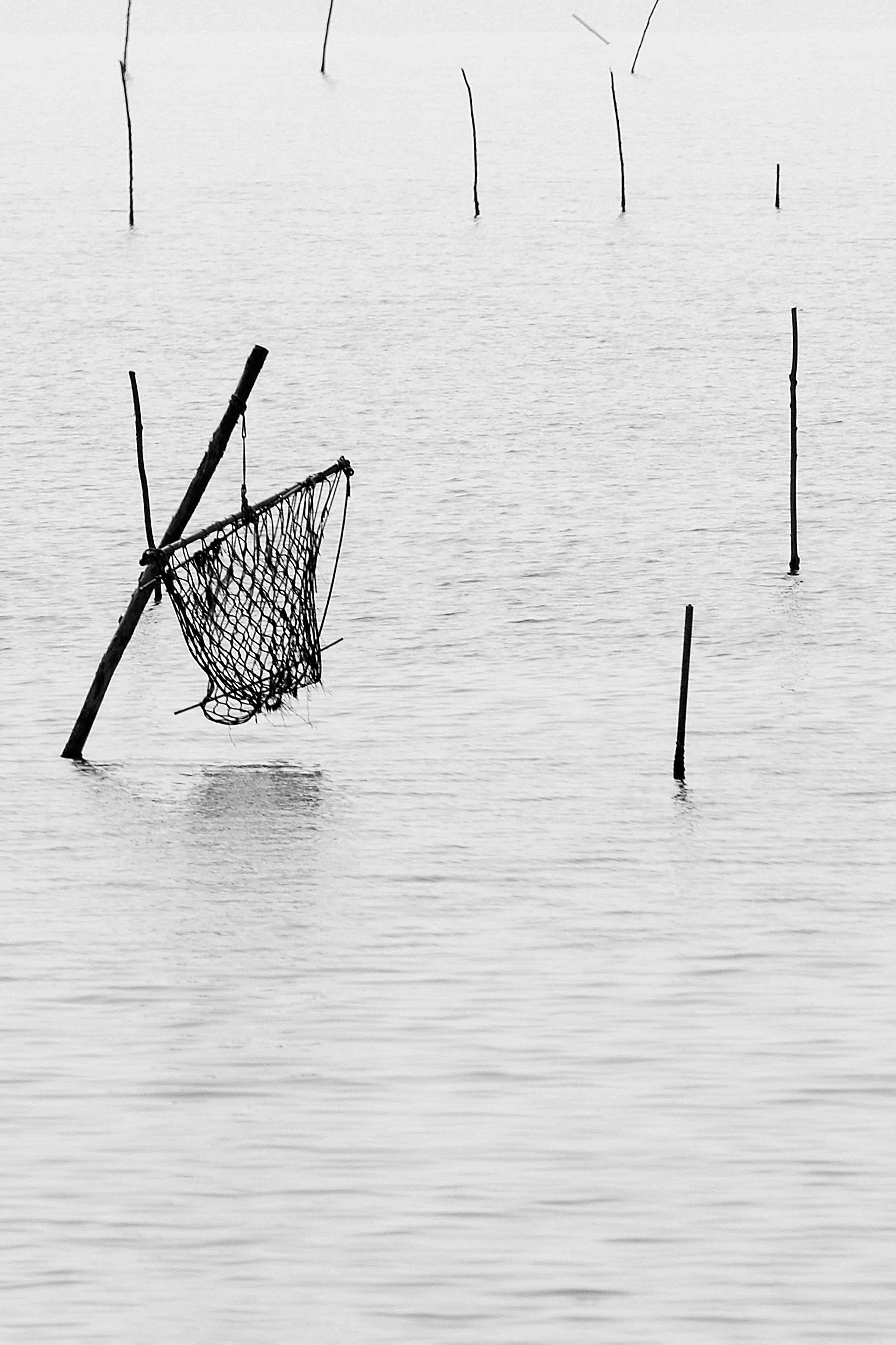 L'amaca, 2012 | Luca Cortese