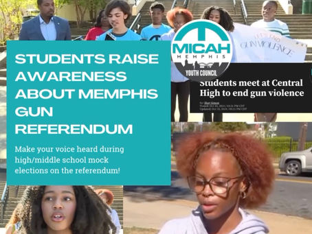 Youth Council Mock Elections on Memphis Gun Referendums