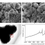 Thumbnail: Underlying Structure-Activity Correlations of 2D Layered Transition Metal Dichal