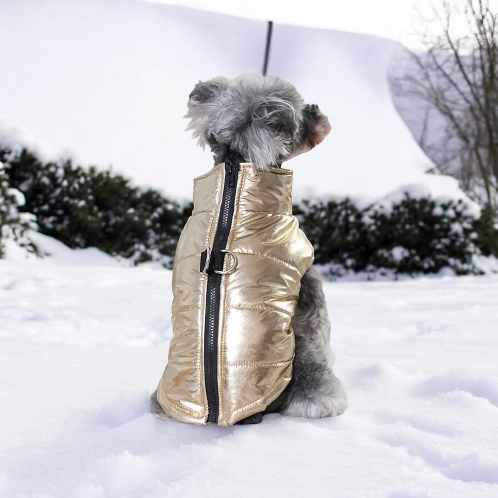 Thumbnail: Waterproof Dog Jacket Coat