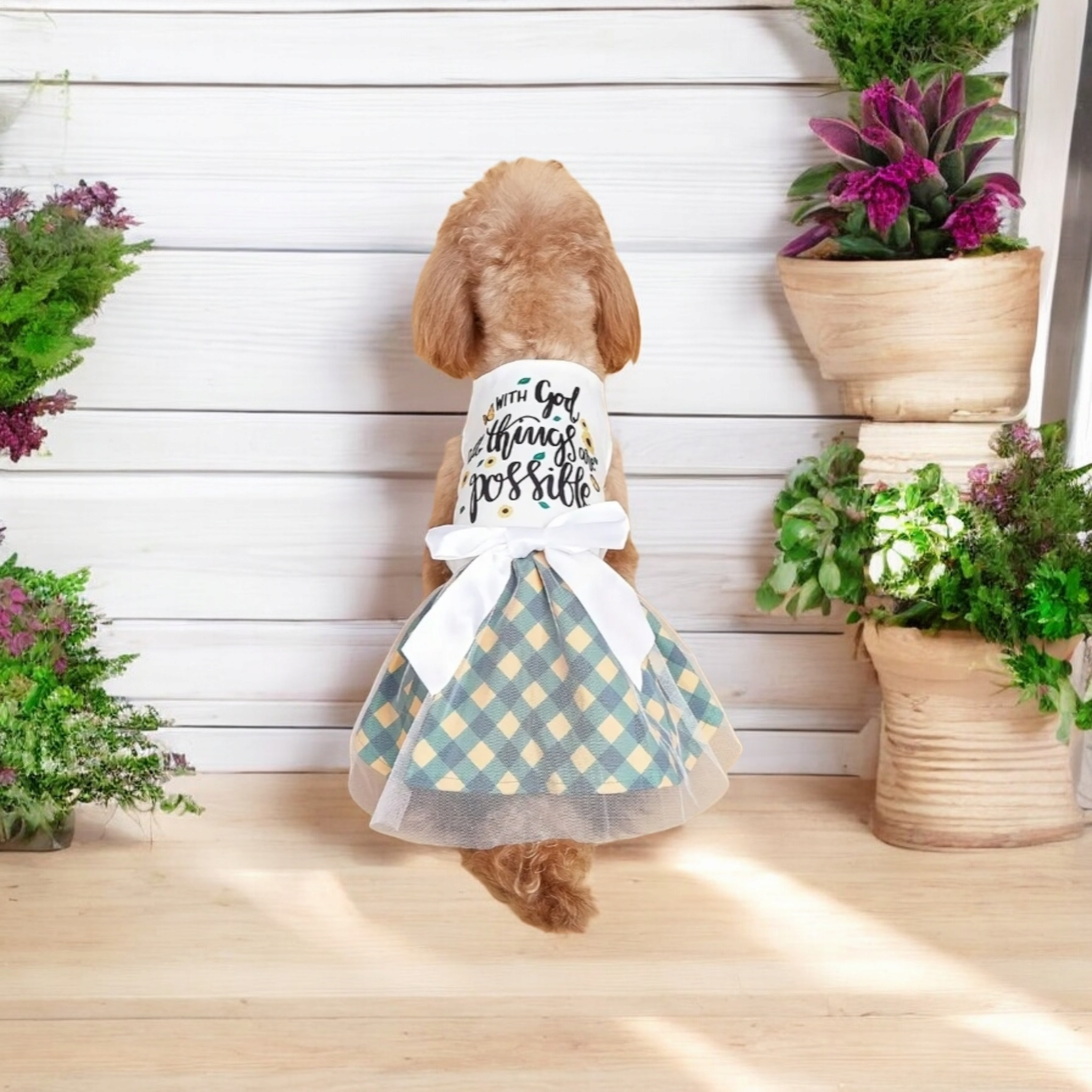 Cute Pet Dog Dress Clothes