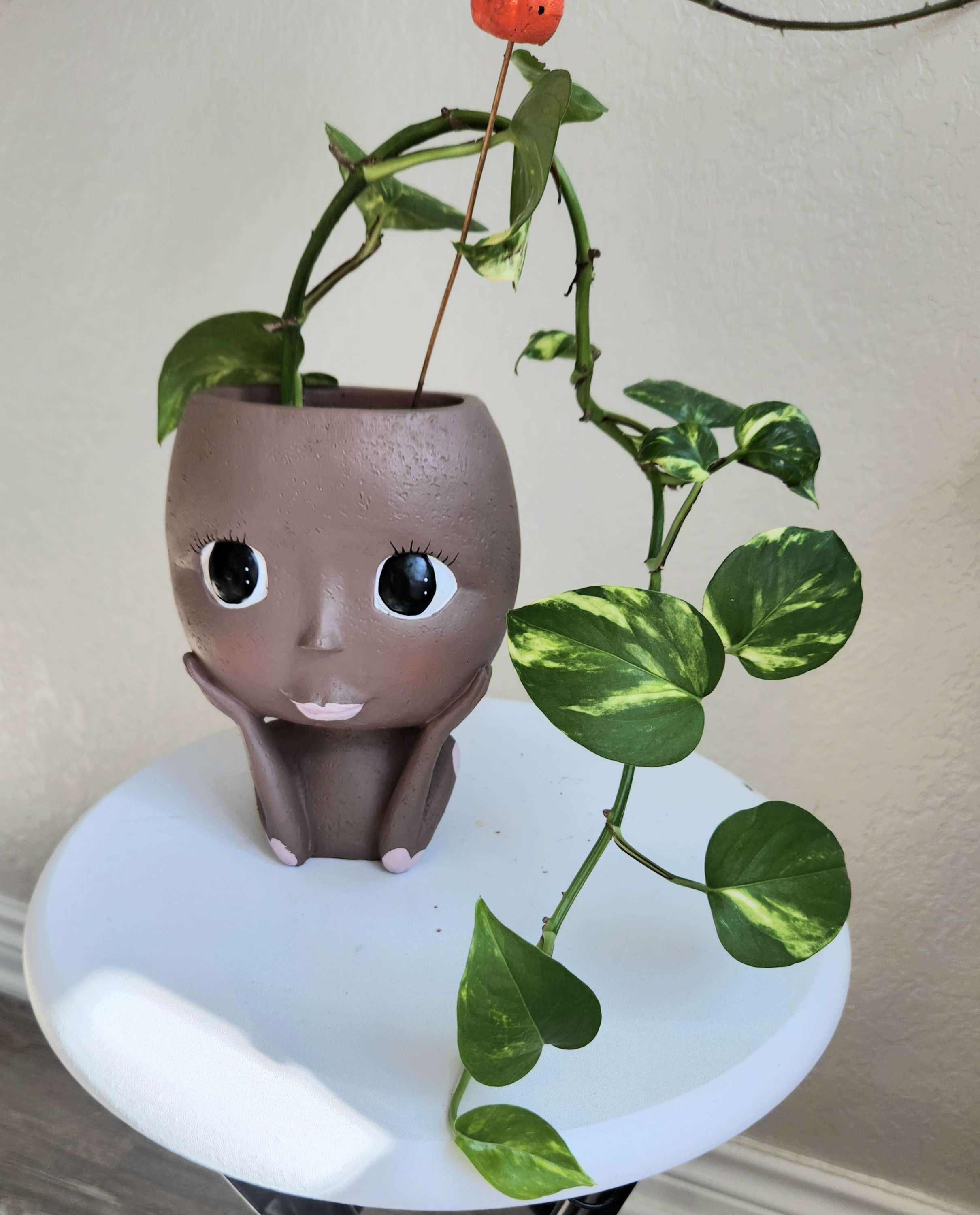 Face Planter Decorative Pot For Indoor Outdoor Plants