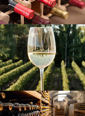 Sem nome (1920 x 1080 px).png