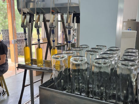 Por que boas práticas na vinificação impactam diretamente o sabor do vinho?