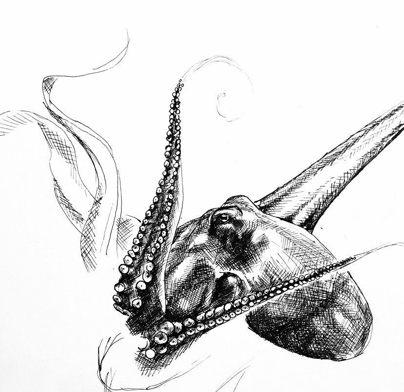 The Art of Wildlife Conservation