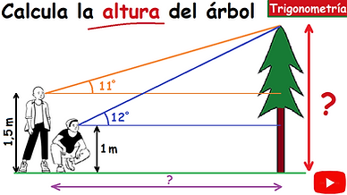 altura del arbol trigonometría.png