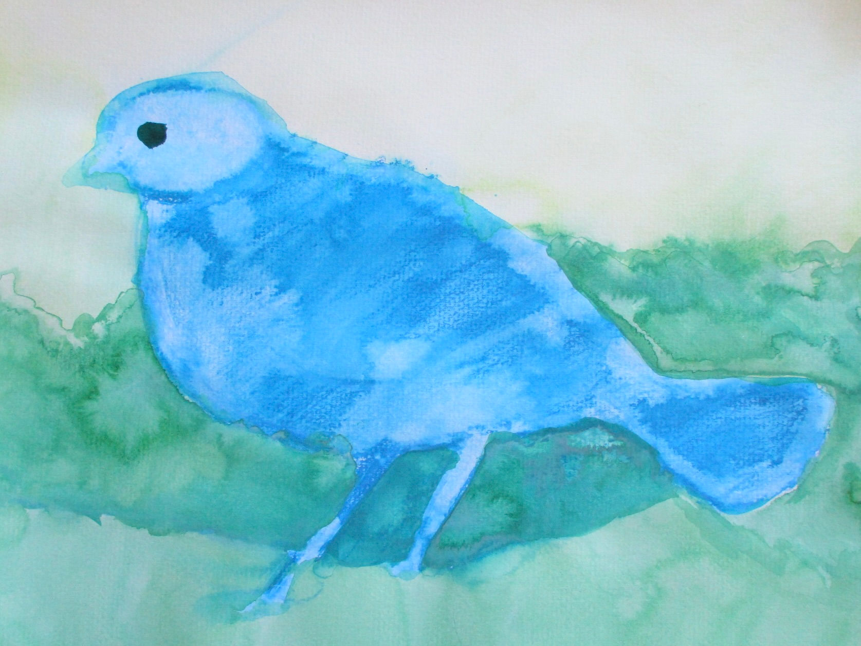 Blue Dove