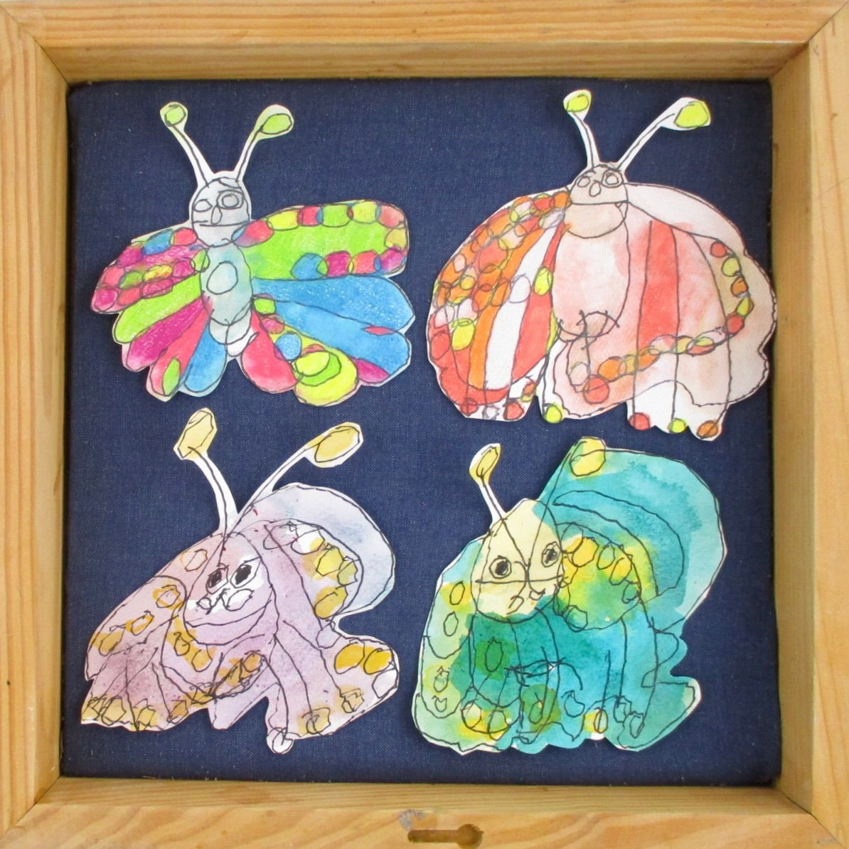 Butterfly Collection