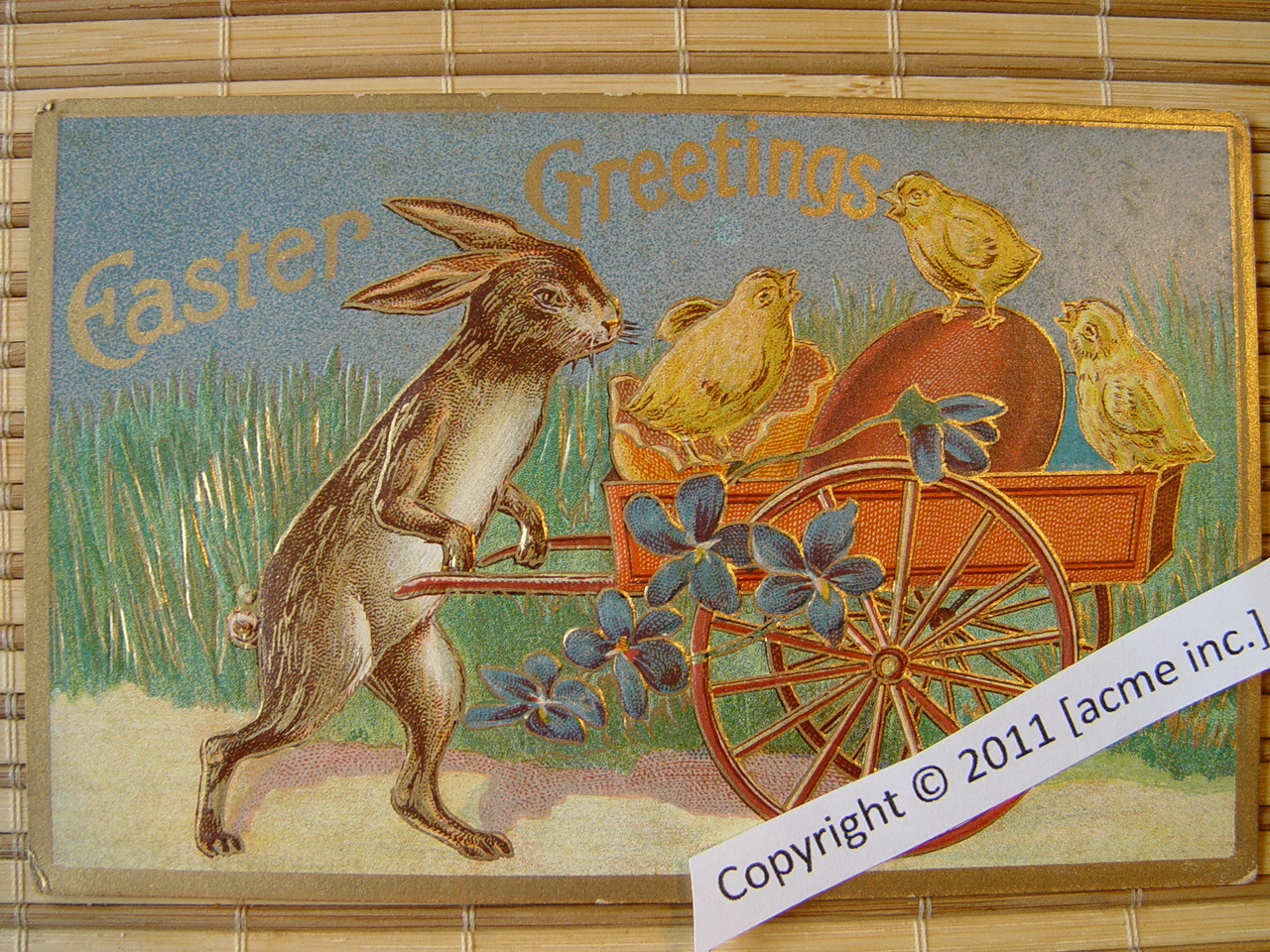 http://www.acme-inc.co.uk/greetingscards/DSC05460.jpg