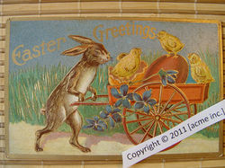 http://www.acme-inc.co.uk/greetingscards/DSC05460.jpg