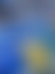 Everything You Need to Know to Follow the Start of the Transat Paprec