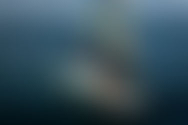 An Ocean of Uncertainty