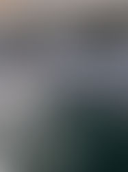 A fresco, a collection, capricious weather and smiles