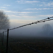 Where the Fence Disappears