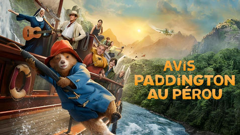 Avis d'un ours célèbre