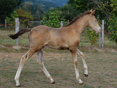 39193549_727911017558921_801818515682728