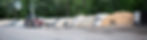 HAMK-0039_edited.jpg