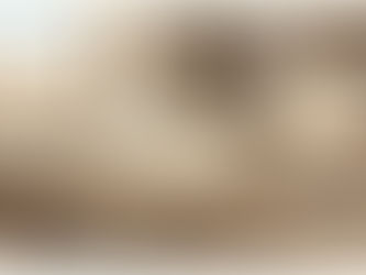 Uma ilustração em aquarela detalhada mostra a mesa de trabalho de um copista antigo em uma sala de pedra perto de uma janela com vista para ruínas do Oriente Médio. Um livro de manuscrito aberto com escrita à mão grega e letras capitulares iluminadas está em um tapete estampado. A mesa está cheia de rolos de papiro em vasos de cerâmica e amarrados com lacres. Também estão espalhados um pote de tinta, calamos de escrita e lamparinas de azeite acesas. Fragmentos de pedra gravados e potes de cerâmica estão em prateleiras ao fundo.